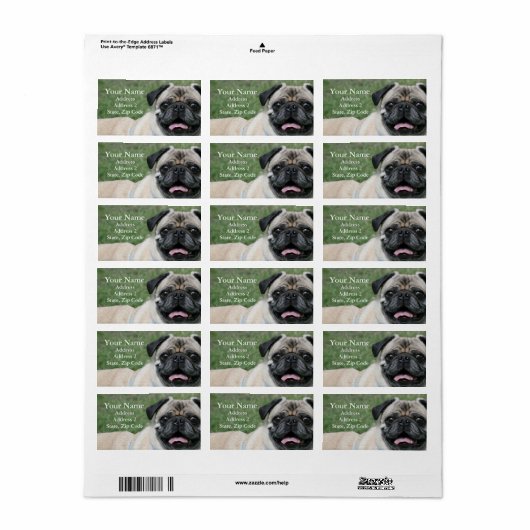 Pug住所 シール (フルシート)