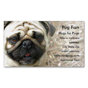 Pug写真 – マグネット名刺