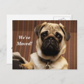 Pug引っ越しました新しい住所はがき 案内ポストカード (正面/裏面)