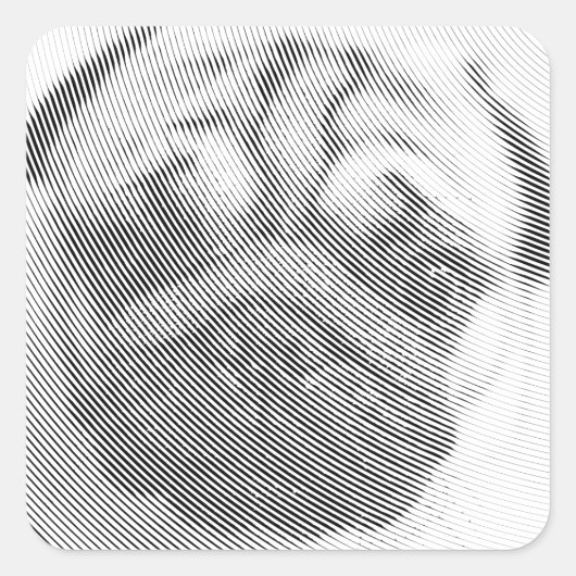 Pug顔 スクエアシール (正面)