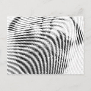 Pug顔 ポストカード