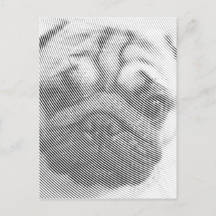 Pug顔 ポストカード