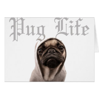 Pug