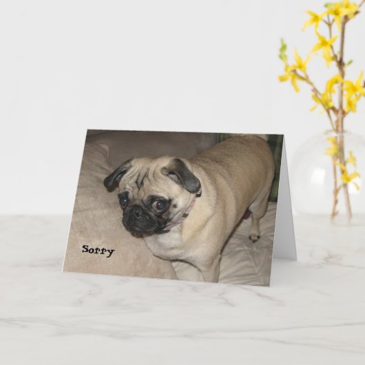 Pug – ごめんなさい カード (黄色い花)