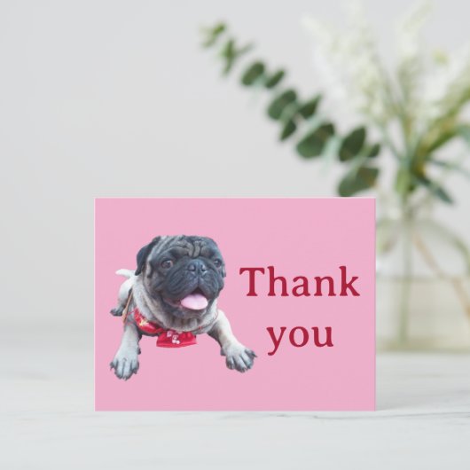 pug ポストカード (スタンド正面)