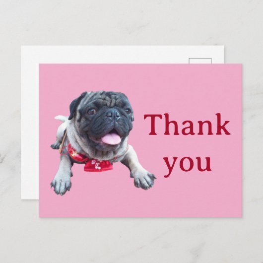 pug ポストカード (正面/裏面)