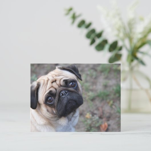 PUG ポストカード (スタンド正面)