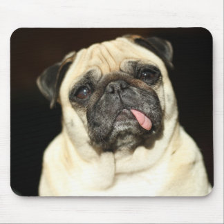 pug マウスパッド