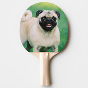 pug-30.jpg 卓球ラケット