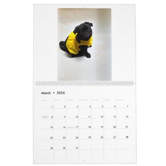 pug and Boston terrier calendar カレンダー (3月 2026)