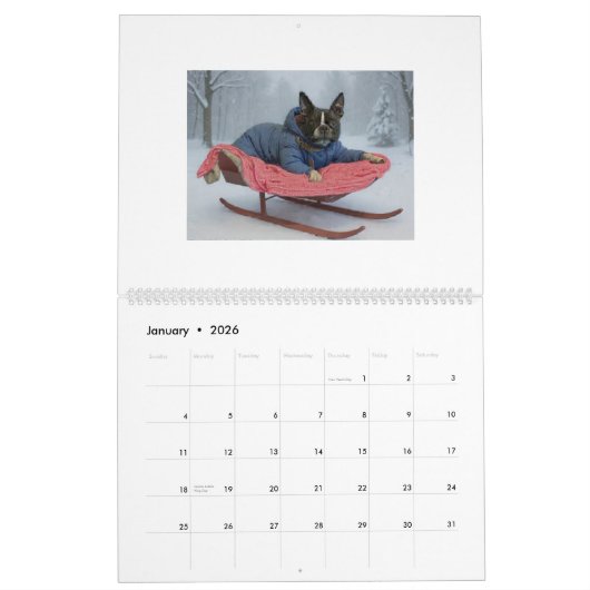 pug and Boston terrier calendar カレンダー (1月 2026)
