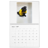pug and Boston terrier calendar カレンダー (3月 2027)