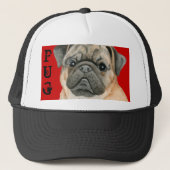 Pug Color Block キャップ (正面)