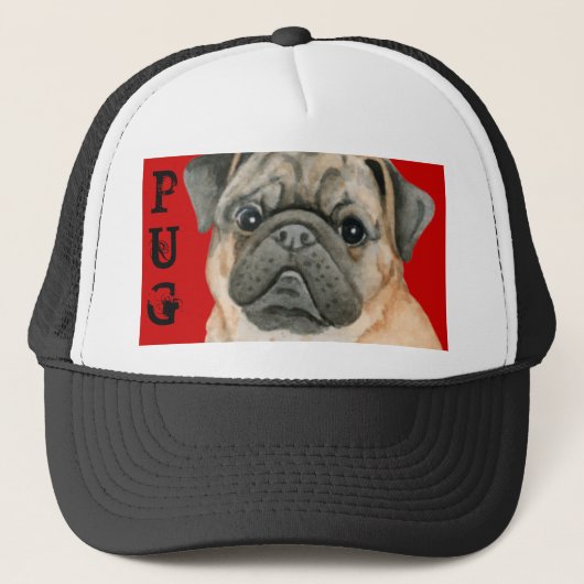 Pug Color Block キャップ (正面)