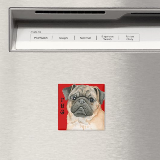Pug Color Block マグネット (インサイチュ (食洗機))