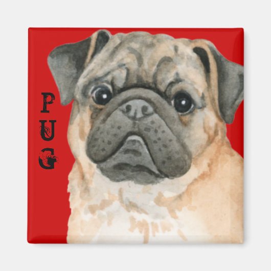 Pug Color Block マグネット (正面)