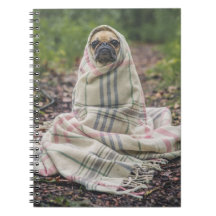 Pug in a Branet Spiral Notebook