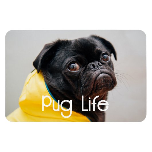 「Pug Life」完全編集可能フォトマグネット マグネット (横)