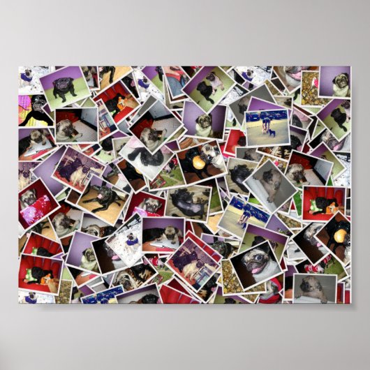 Pug Life Poster ポスター (正面)