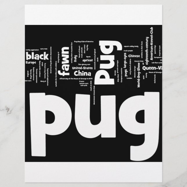 pug mashup.png (正面)