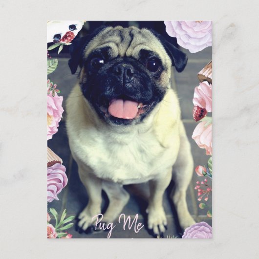 Pug Me - Happy Pug ポストカード (正面)