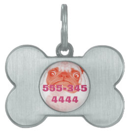 PUG_orange3.png ペットネームタグ