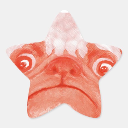 PUG_orange3.png 星シール (正面)