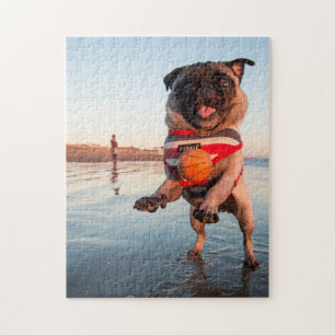 Pug Playing Ball on Beach ジグソーパズル