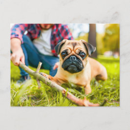 Pug Playing Fetch with Stick ポストカード