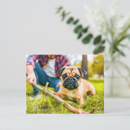 Pug Playing Fetch with Stick ポストカード (スタンド正面)