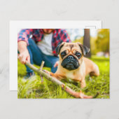 Pug Playing Fetch with Stick ポストカード (正面/裏面)