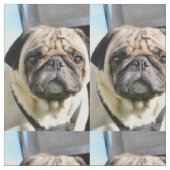 Pug q ファブリック (クローズアップ)