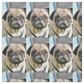 Pug q ファブリック (見本)