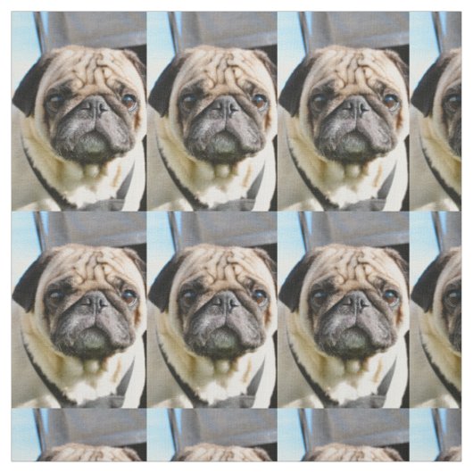 Pug q ファブリック (見本)