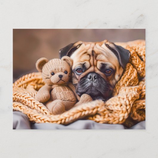 Pug Snuggling with Teddy Bear Blanket ポストカード (正面)