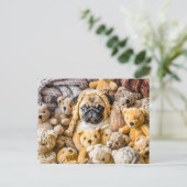 Pug Surrounded by Plush Teddy Bears ポストカード (スタンド正面)