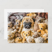 Pug Surrounded by Plush Teddy Bears ポストカード (正面/裏面)