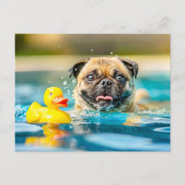 Pug Swimming with Rubber Duck in Pool ポストカード
