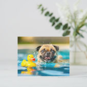 Pug Swimming with Rubber Duck in Pool ポストカード (スタンド正面)