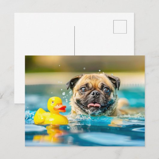 Pug Swimming with Rubber Duck in Pool ポストカード (正面/裏面)