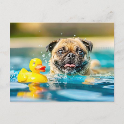 Pug Swimming with Rubber Duck in Pool ポストカード (正面)