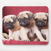 Pug Triplets マウスパッド (正面)