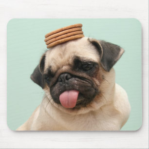 Pug Wants Treats マウスパッド
