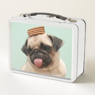 Pug Wants Treats メタルランチボックス