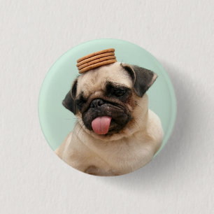 Pug Wants Treats 缶バッジ