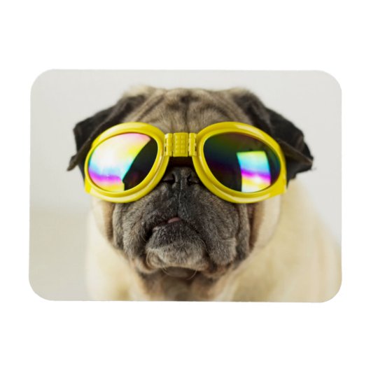 Pug with Goggles マグネット (横)