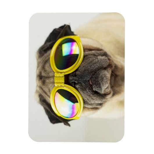 Pug with Goggles マグネット (縦)