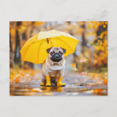 Pug with Umbrella and Boots in Rain ポストカード (正面)