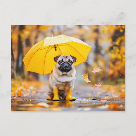 Pug with Umbrella and Boots in Rain ポストカード (正面)