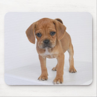 Puggleの子犬のパッド マウスパッド
